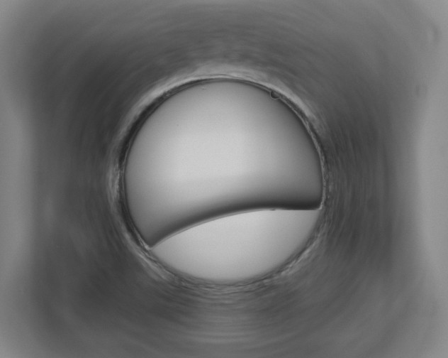 X0000113051507200908271044