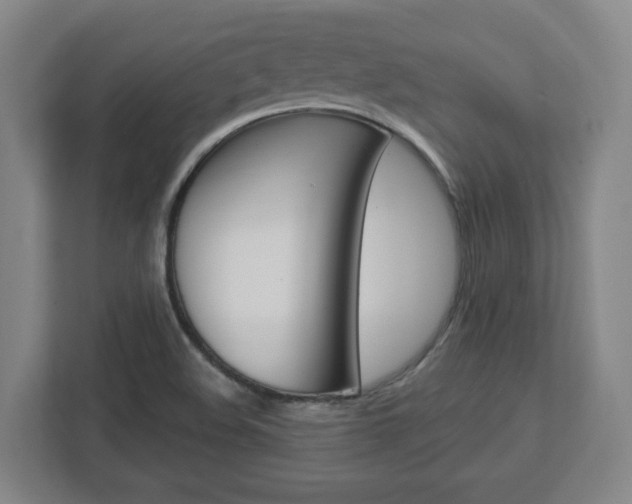 X0000113051508200908271044
