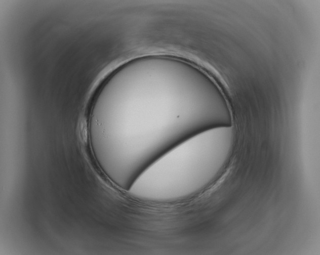 X0000113051509200908271044