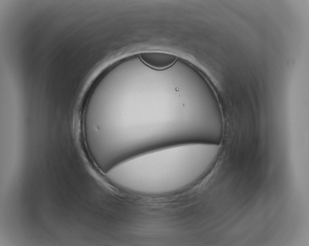 X0000113051511200908271044