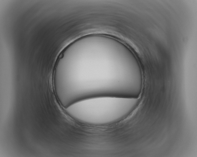X0000113051513200908271044