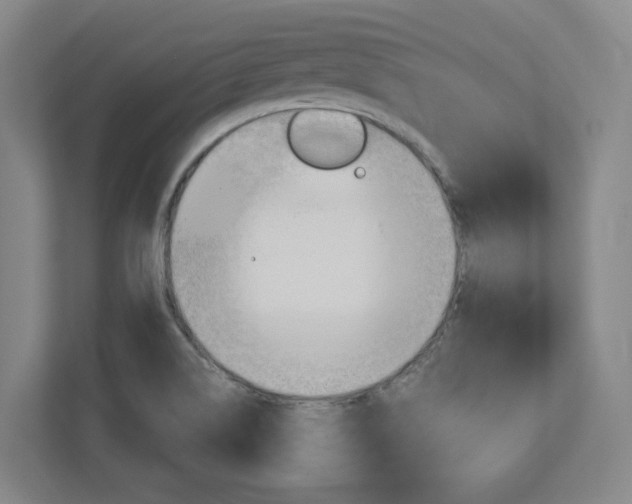 X0000113051514200908271044