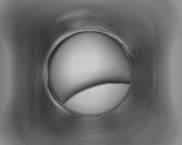 X0000113051515200908271044