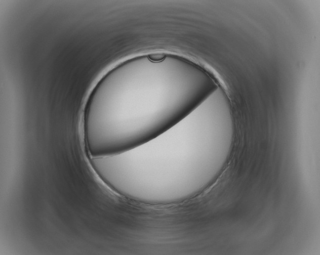 X0000113051516200908271044