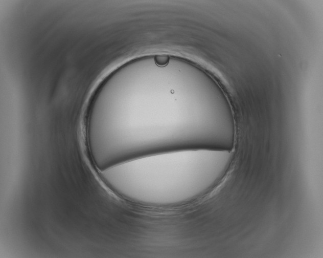 X0000113051517200908271044