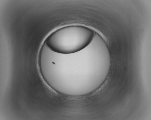 X0000113051518200908271044