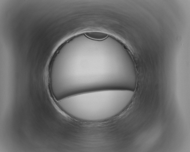X0000113051519200908271044