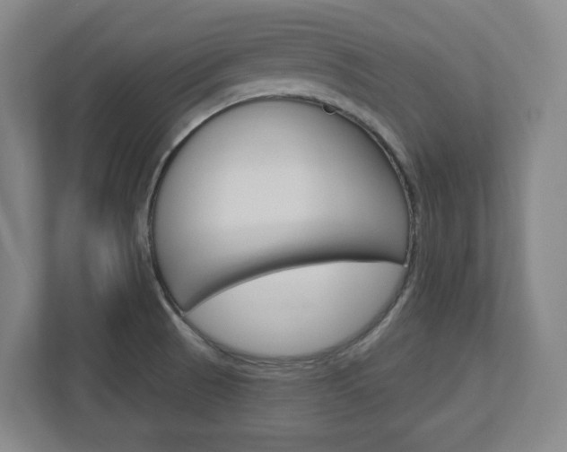 X0000113051521200908271044
