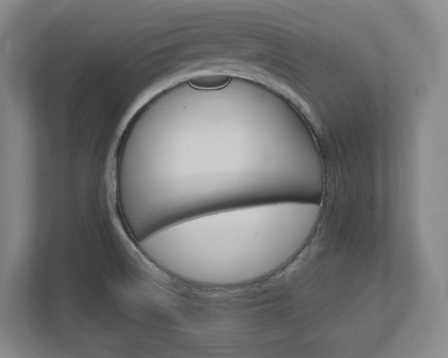 X0000113051522200908271044
