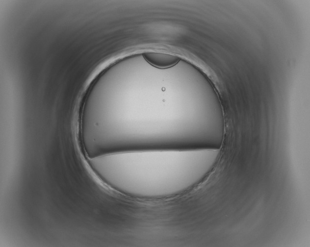 X0000113051523200908271044