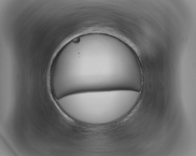 X0000113051525200908271044