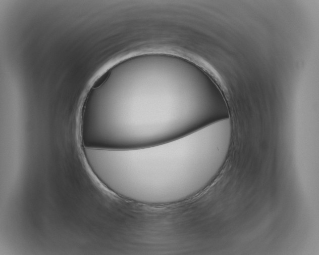 X0000113051528200908271044