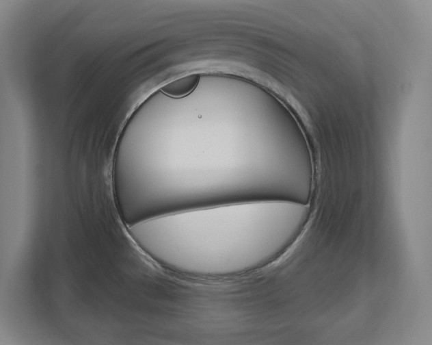 X0000113051529200908271044
