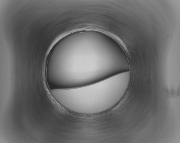 X0000113051530200908271044