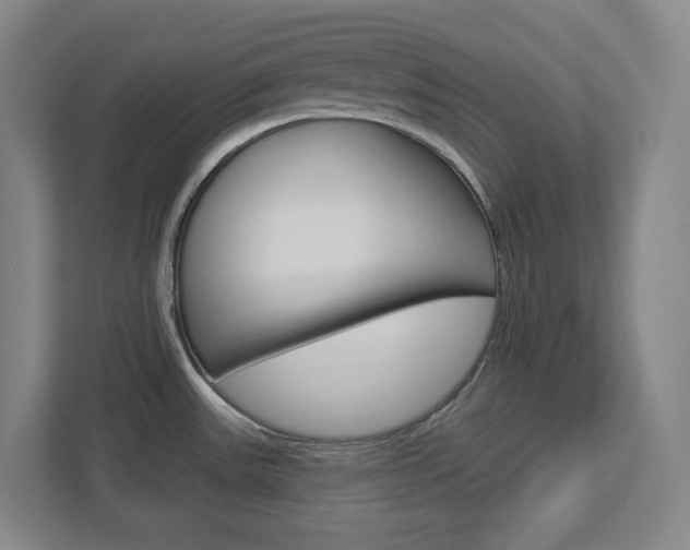 X0000113051531200908271044