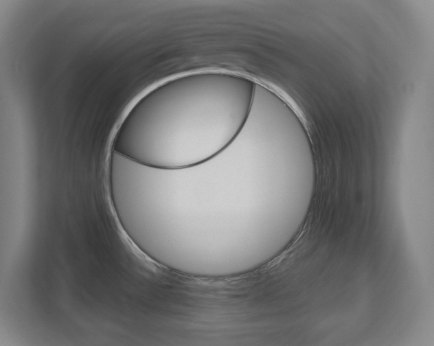 X0000113051532200908271044