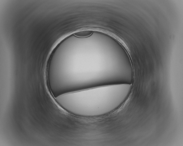 X0000113051533200908271044