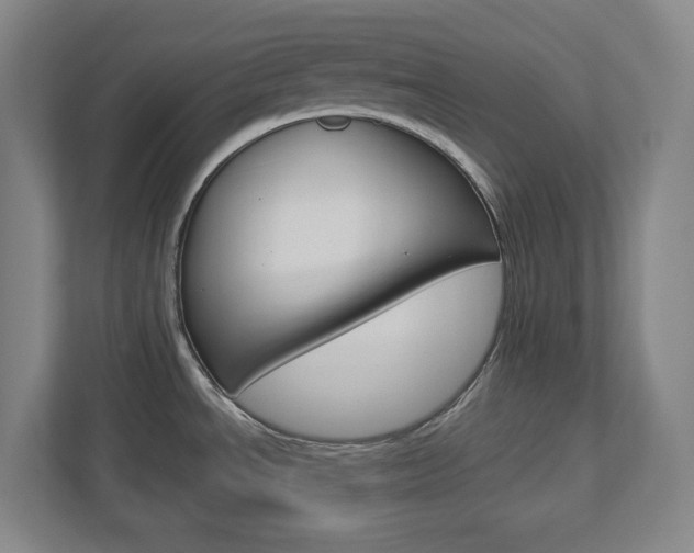 X0000113051534200908271044
