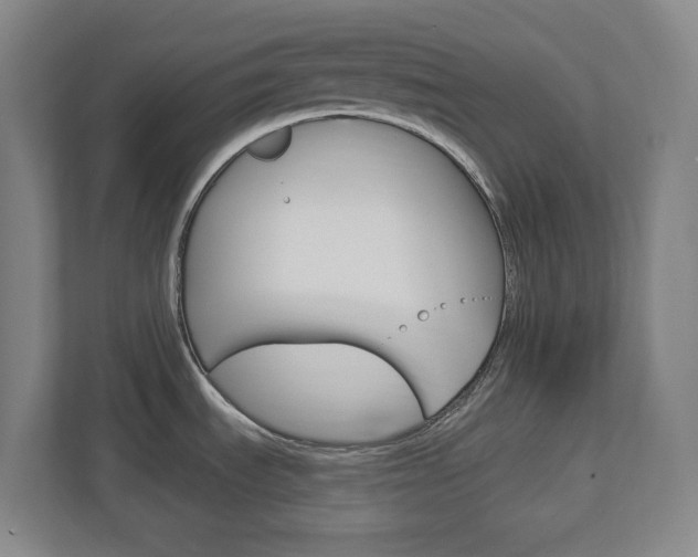 X0000113051535200908271044