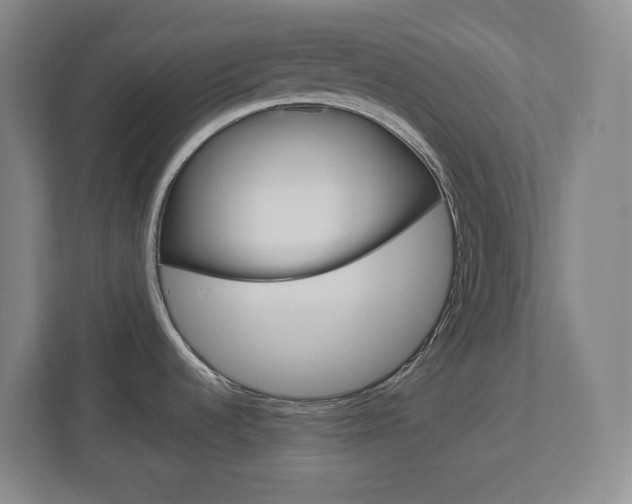 X0000113051536200908271044