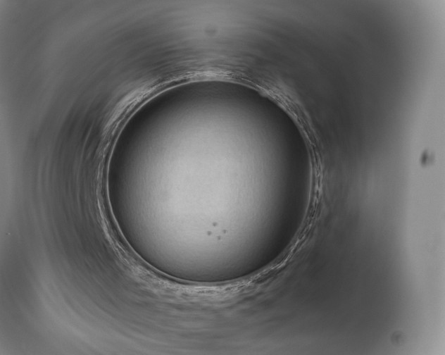 X0000113050001200908271542