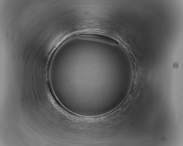 X0000113050002200908271542