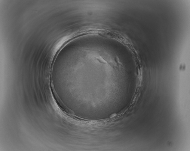 X0000113050003200908271542