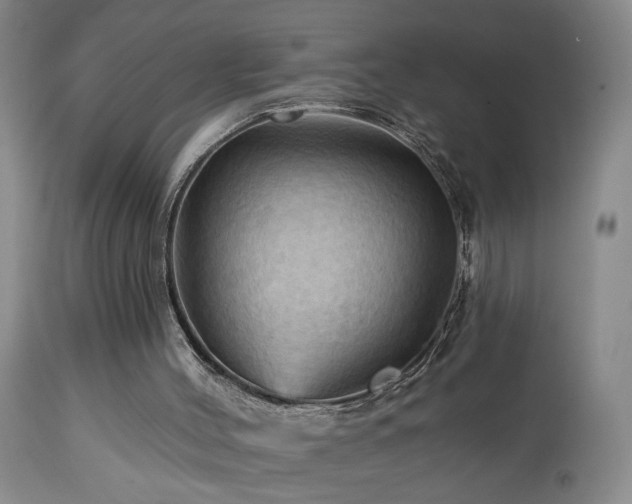 X0000113050004200908271542