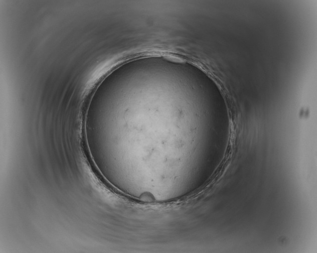 X0000113050005200908271542