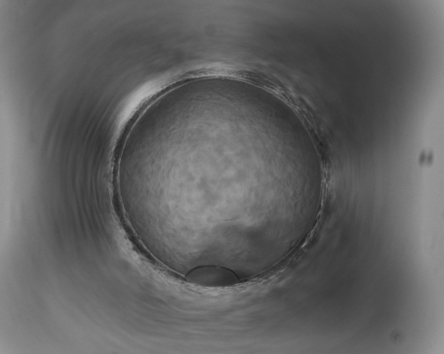 X0000113050006200908271542