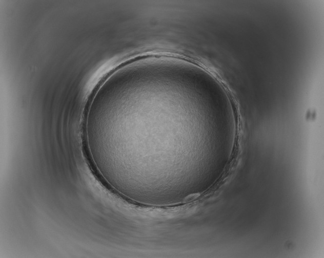 X0000113050007200908271542