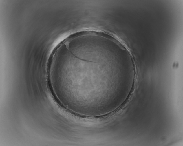 X0000113050008200908271541