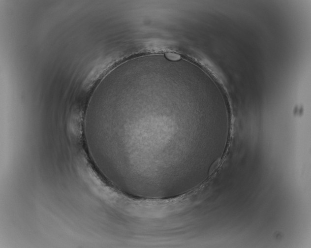 X0000113050009200908271541