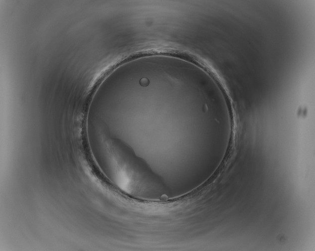 X0000113050010200908271541