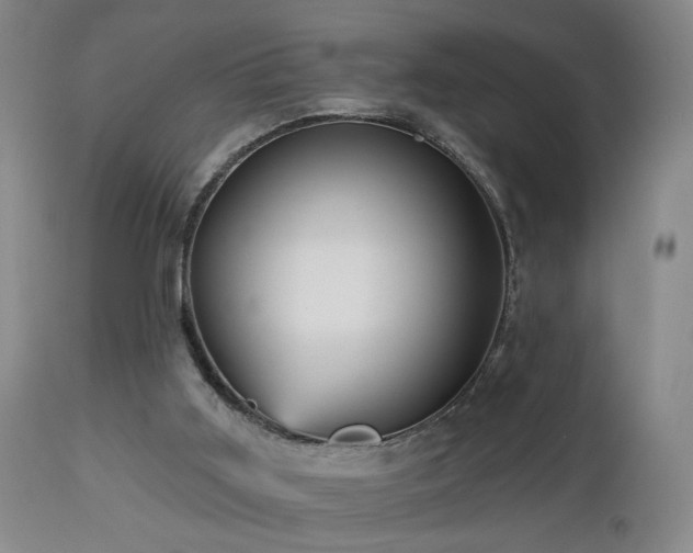 X0000113050011200908271541