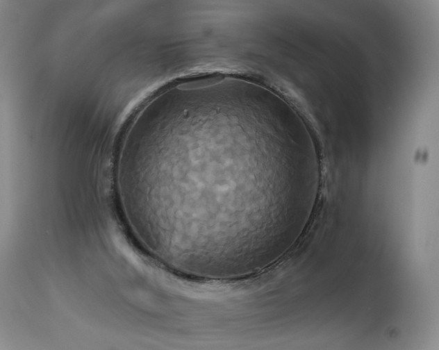 X0000113050012200908271541