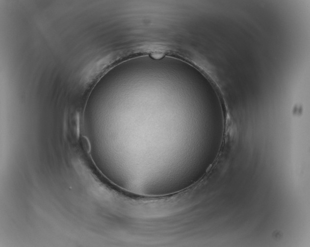 X0000113050013200908271541