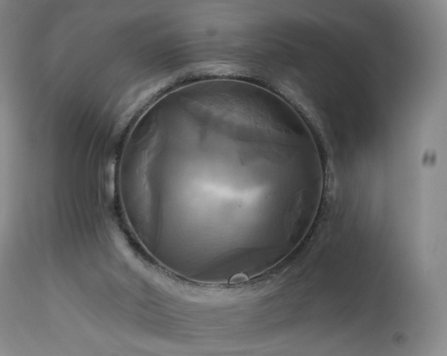 X0000113050014200908271541