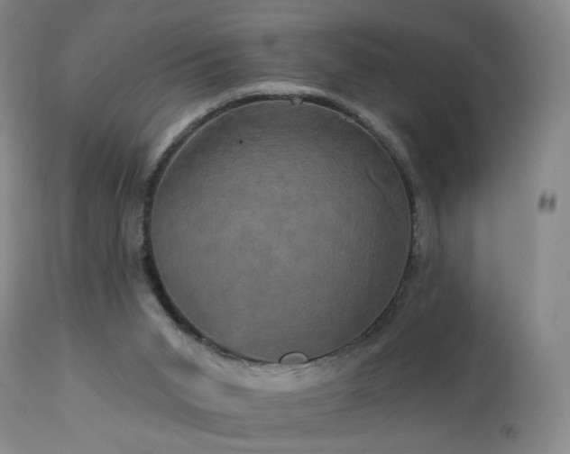 X0000113050015200908271541