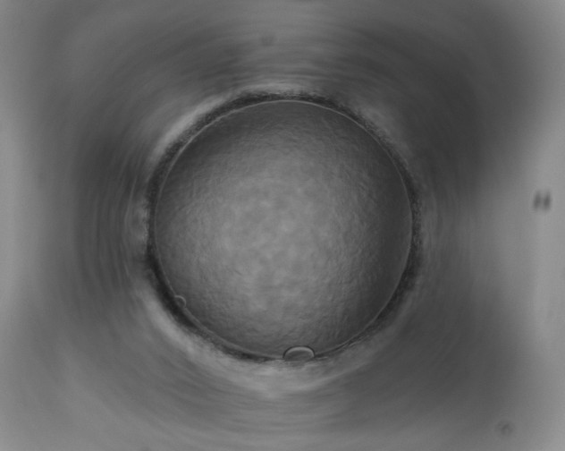 X0000113050016200908271541