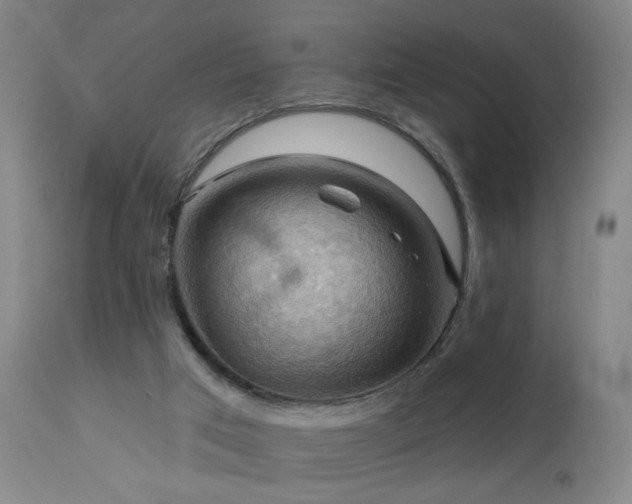 X0000113050017200908271541