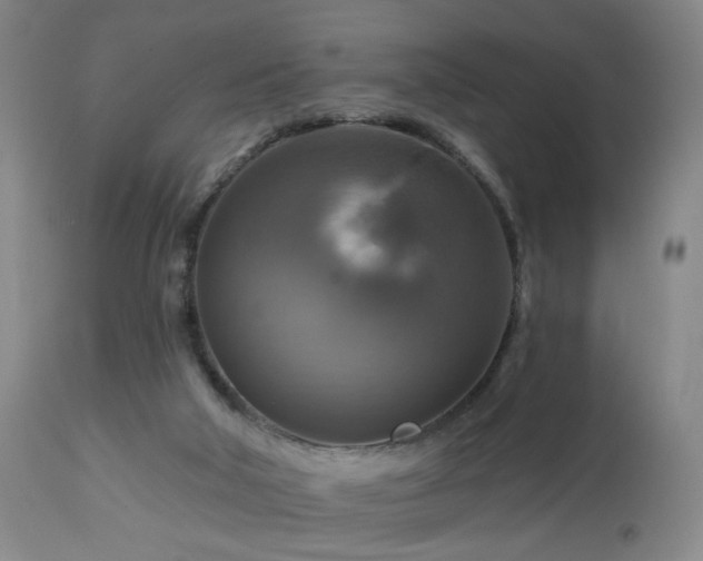 X0000113050018200908271541