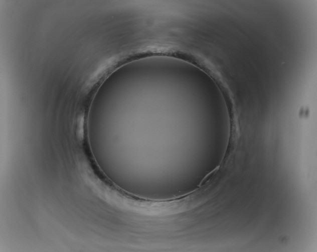 X0000113050019200908271541