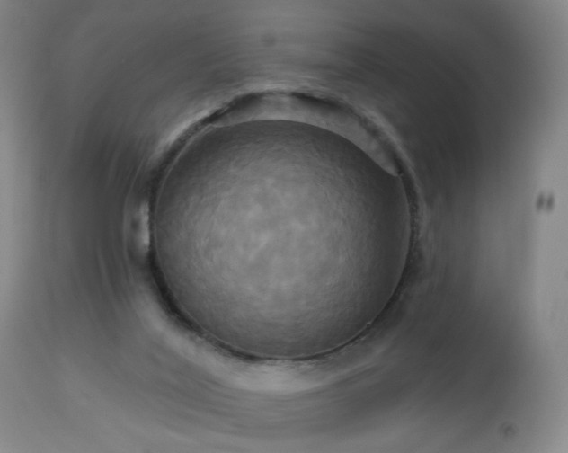 X0000113050020200908271541