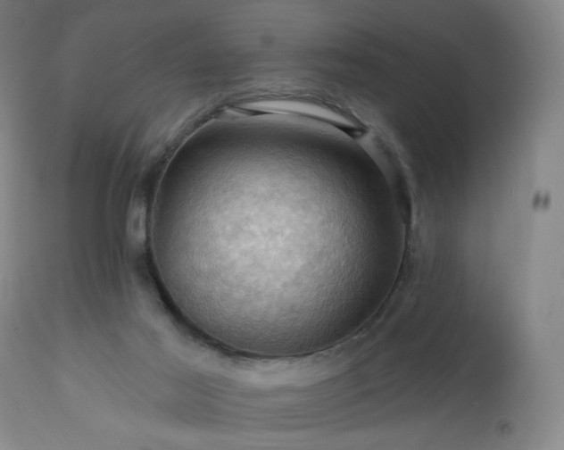 X0000113050021200908271541