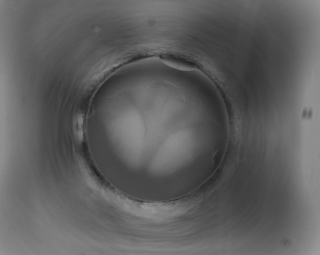 X0000113050022200908271541