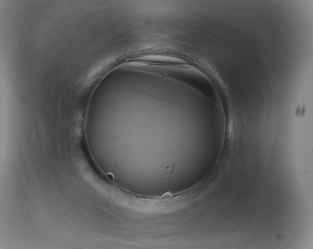 X0000113050023200908271541