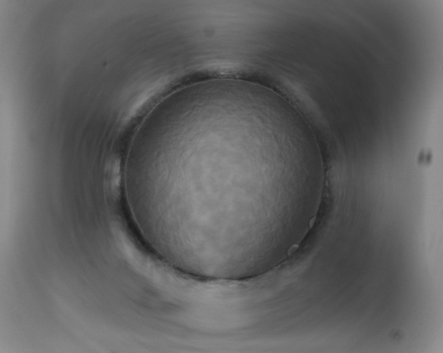 X0000113050024200908271541