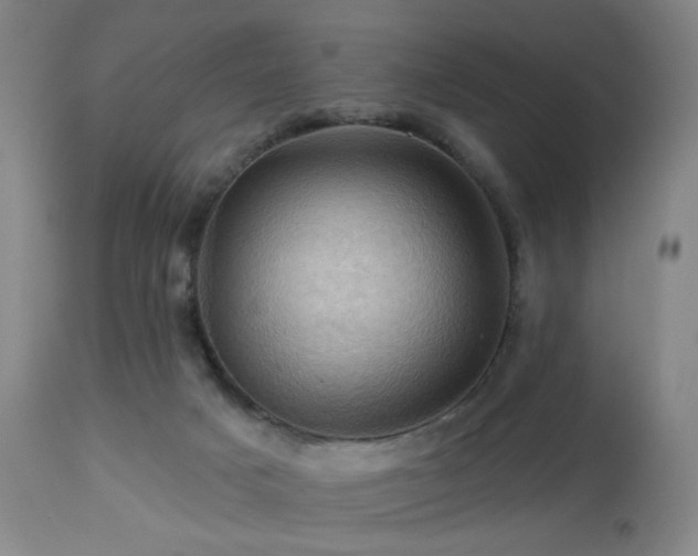 X0000113050025200908271541