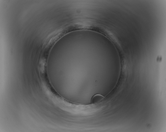 X0000113050026200908271541